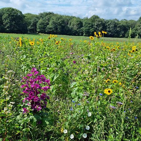 Appartamento Logeren Bij Sabine En Jw Beekbergen Esterno foto