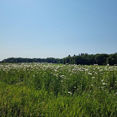 Appartamento Logeren Bij Sabine En Jw Beekbergen Esterno foto