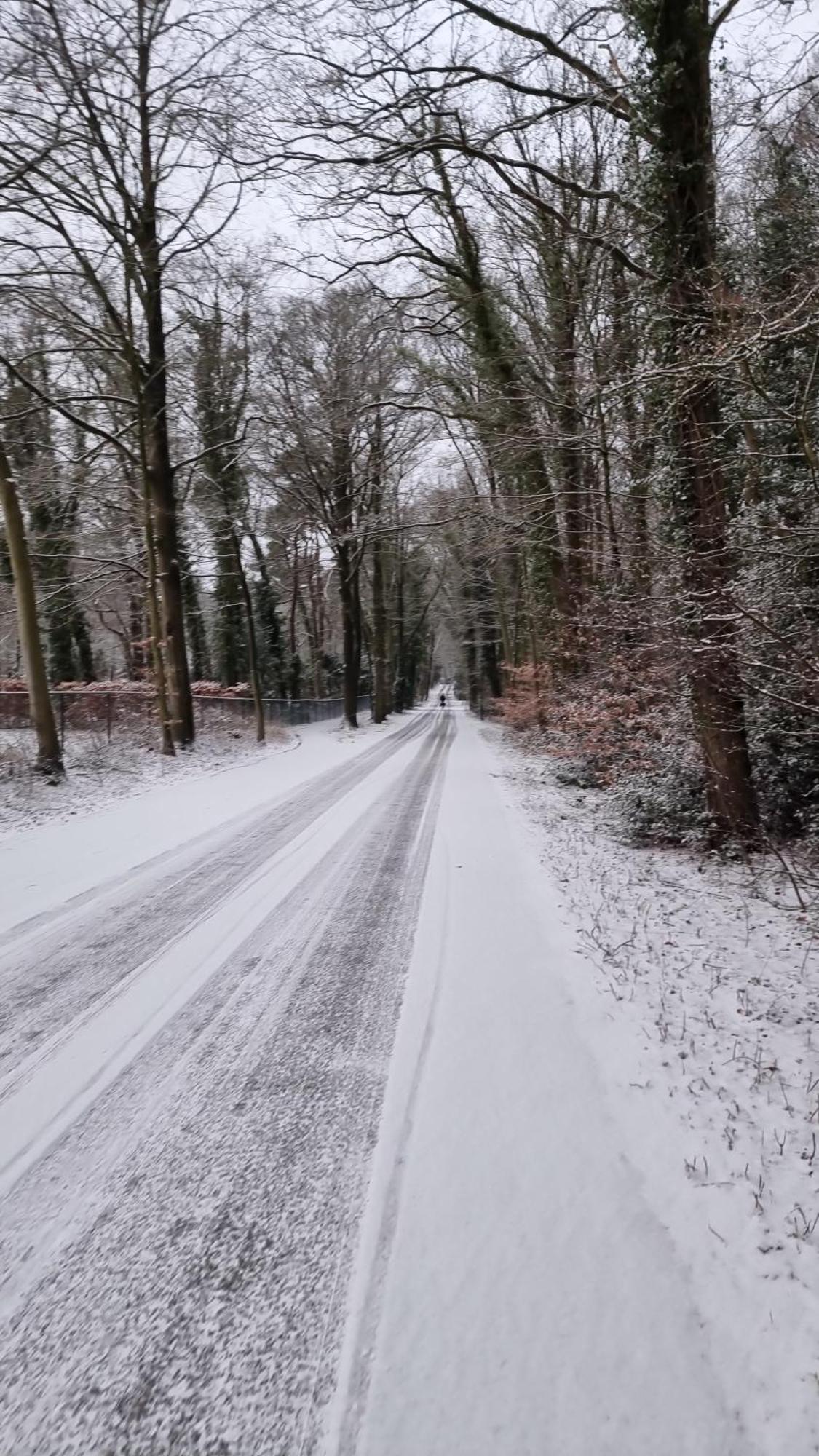 Appartamento Logeren Bij Sabine En Jw Beekbergen Esterno foto